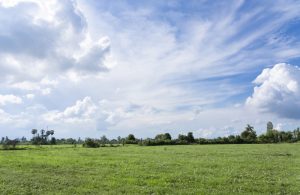 a-grassy-summer-view-with-blue-sky